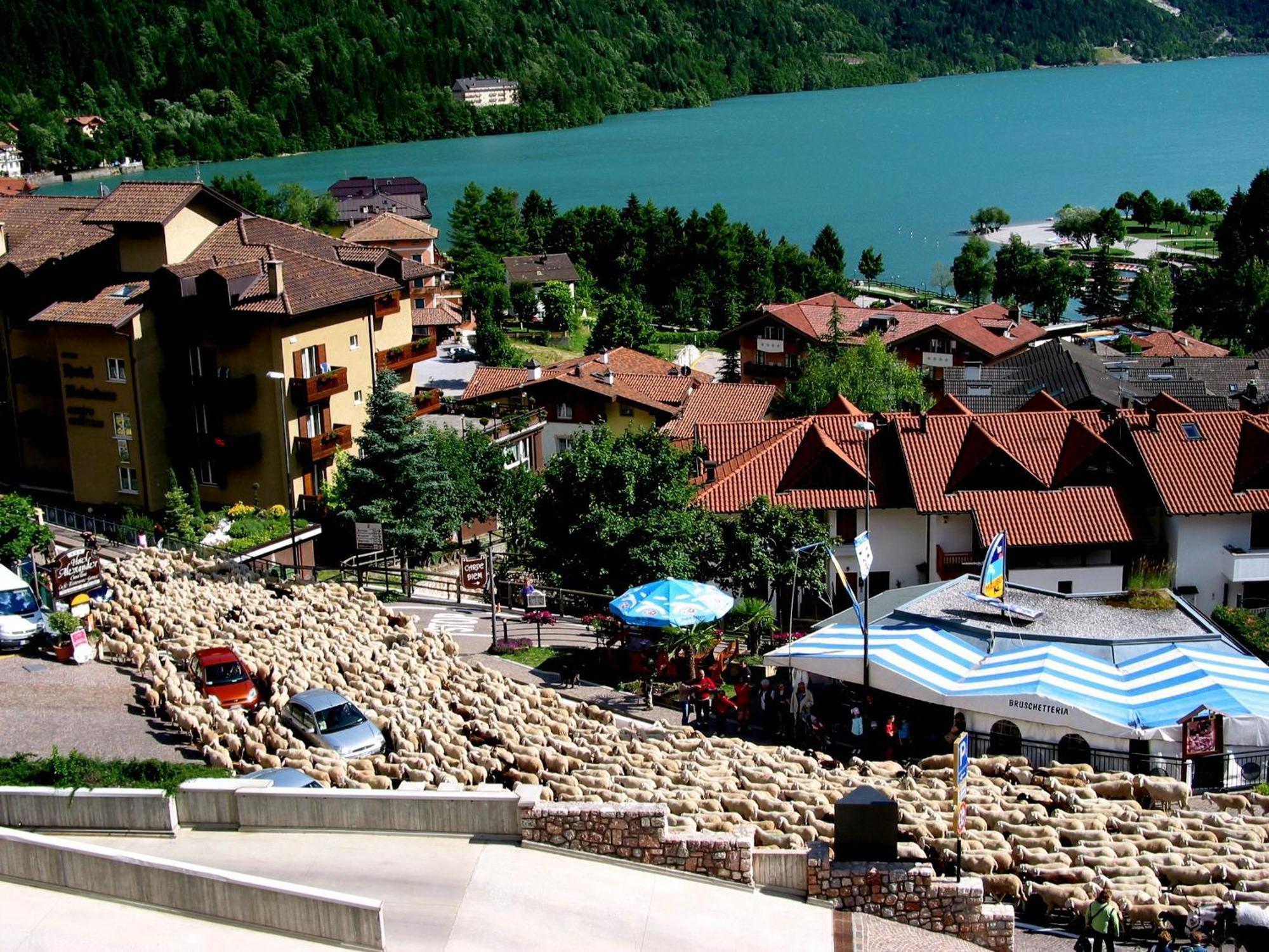 Albergo Stella Alpina Molveno Bagian luar foto